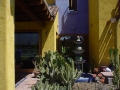 Algarrobos0005