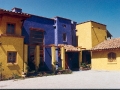 Algarrobos0011